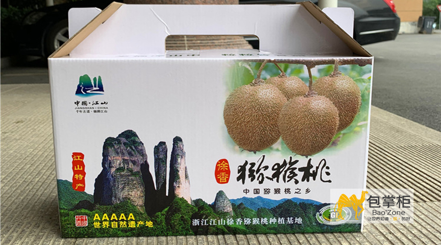 獼猴桃包裝設(shè)計(jì)